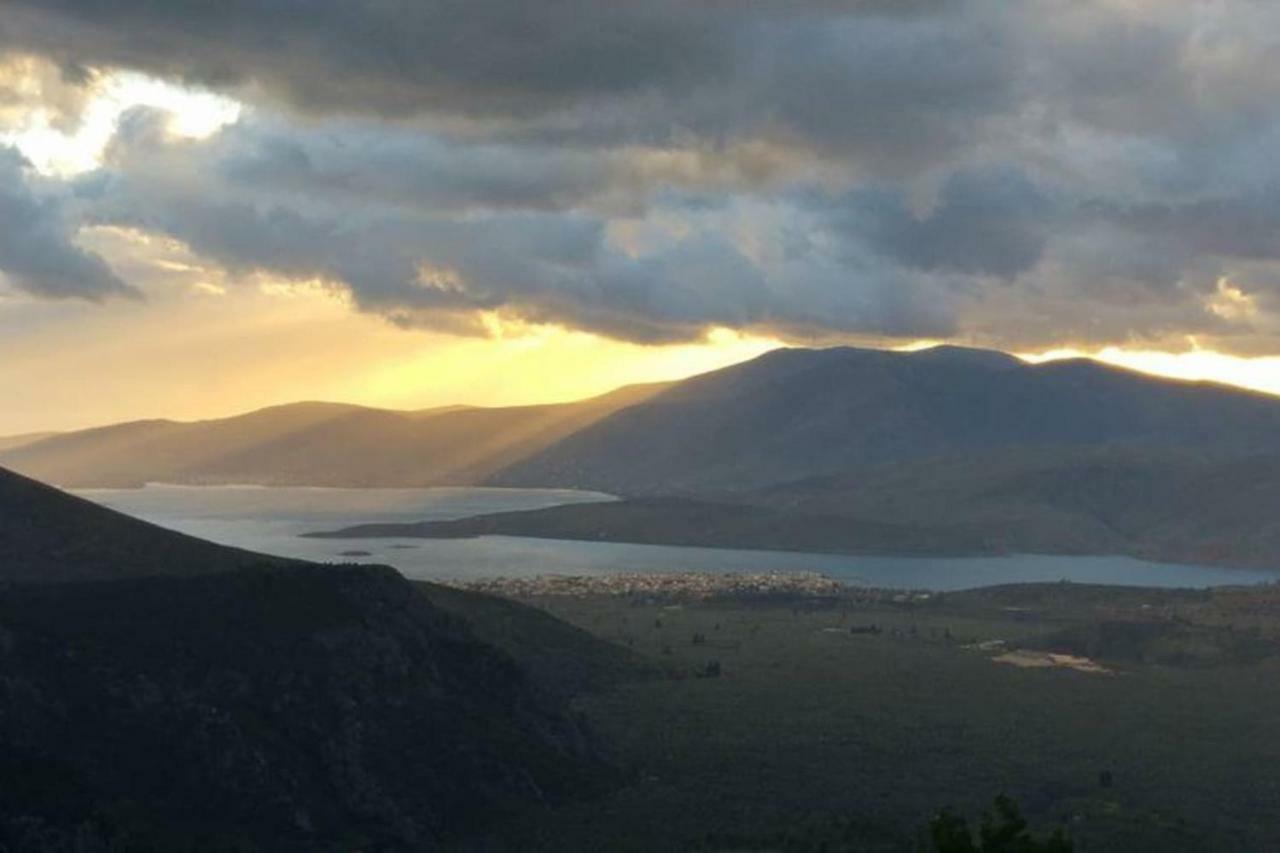 Delphic Horizons Daire Dış mekan fotoğraf